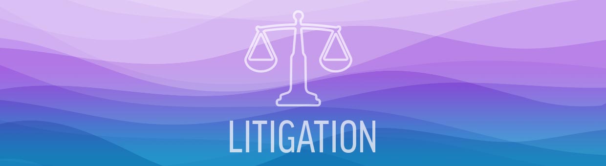 Litigation