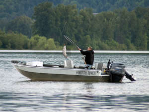 Washington Tentatively Sets Salmon Fishing Seasons; Strong Coho Run ...