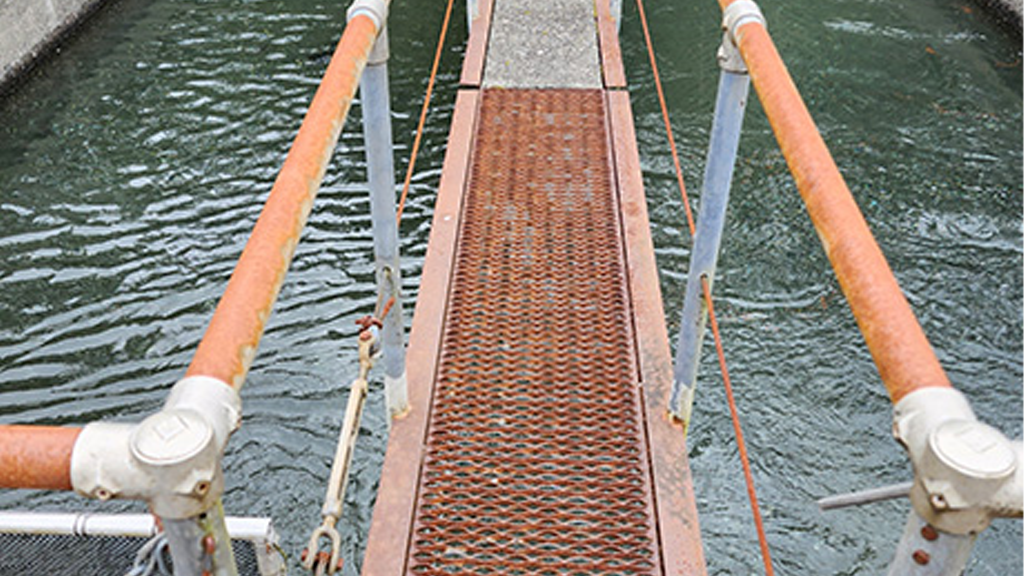 hatcheryracewayoregon  Columbia Basin Bulletin