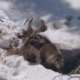 Brown bear at the entrance of a snow-covered den, standing in a shaded hillside cavity.