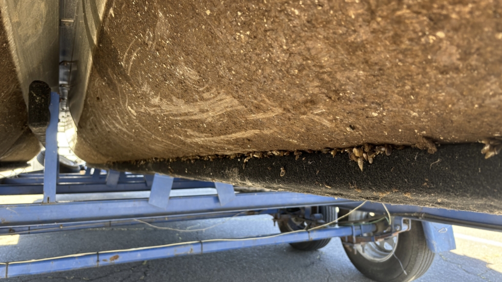 Underside of a muddy boat hull on a blue trailer, with small barnacles along the bottom edge.