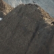 Bear walking along a rugged mountain ridge with a few birds perched on the crest and small snow patches nearby.