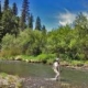 Person wading in a shallow river surrounded by trees and hills on a sunny day.