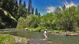 Person wading in a shallow river surrounded by trees and hills on a sunny day.