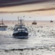 Fishing boats sail toward the camera on a calm sea at sunset, with a flock of seagulls overhead and a warm sky on the horizon.