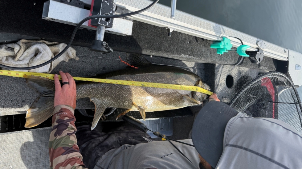 Person on a boat measures a large fish with a yellow tape measure; fishing gear and water visible.