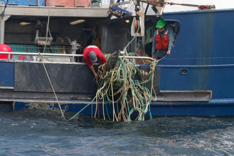 Crew members in red life vests untangling a messy coil of colorful ropes over the side of a blue work boat.